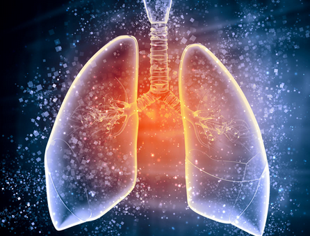 装修污染 | 如何降低甲醛的危害