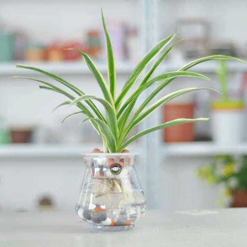 装修污染 | 如何降低甲醛的危害