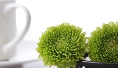 装修污染 | 如何降低甲醛的危害