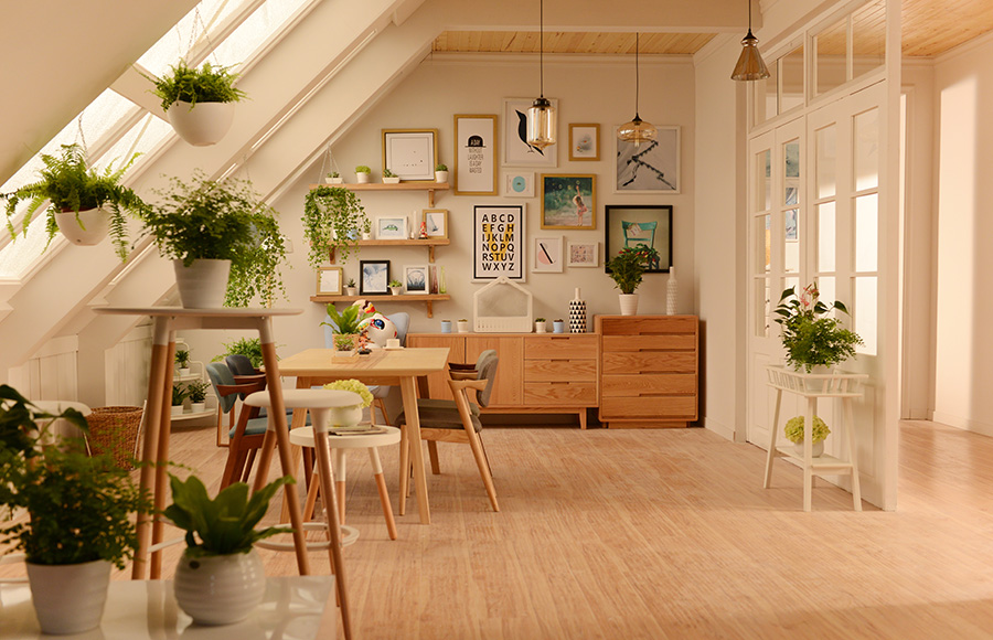 家里的植物也讲风水？这些你一定还不知道