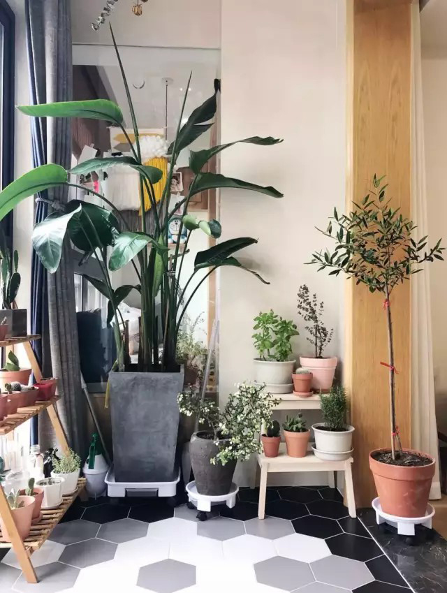 小阳台转型记，这样的设计你也没想到吧